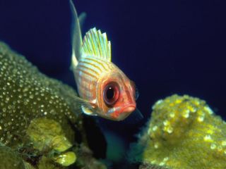 pic13.jpg